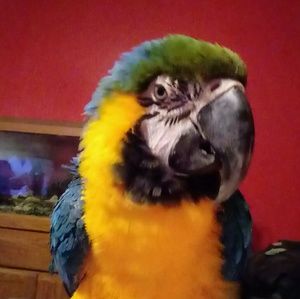 Meet your Posher, Tabatha